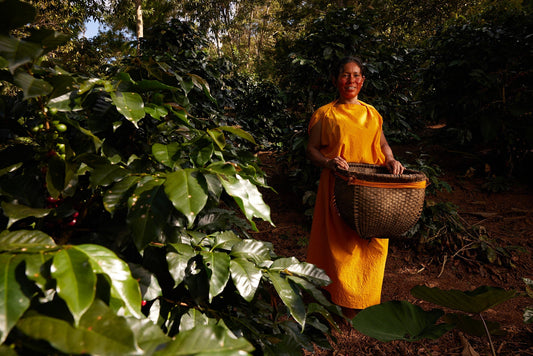Meet Dalia: Inspiring Mayni Leader and Rainforest Guardian
