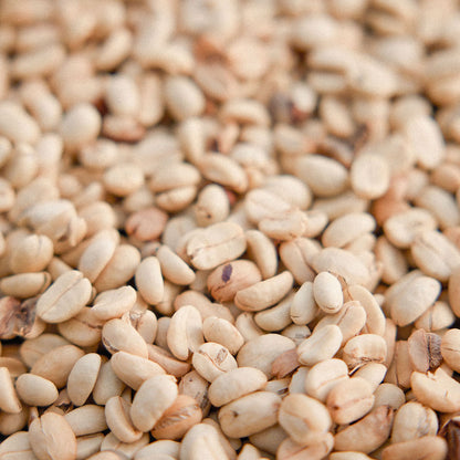 Sugar Cane Decaf