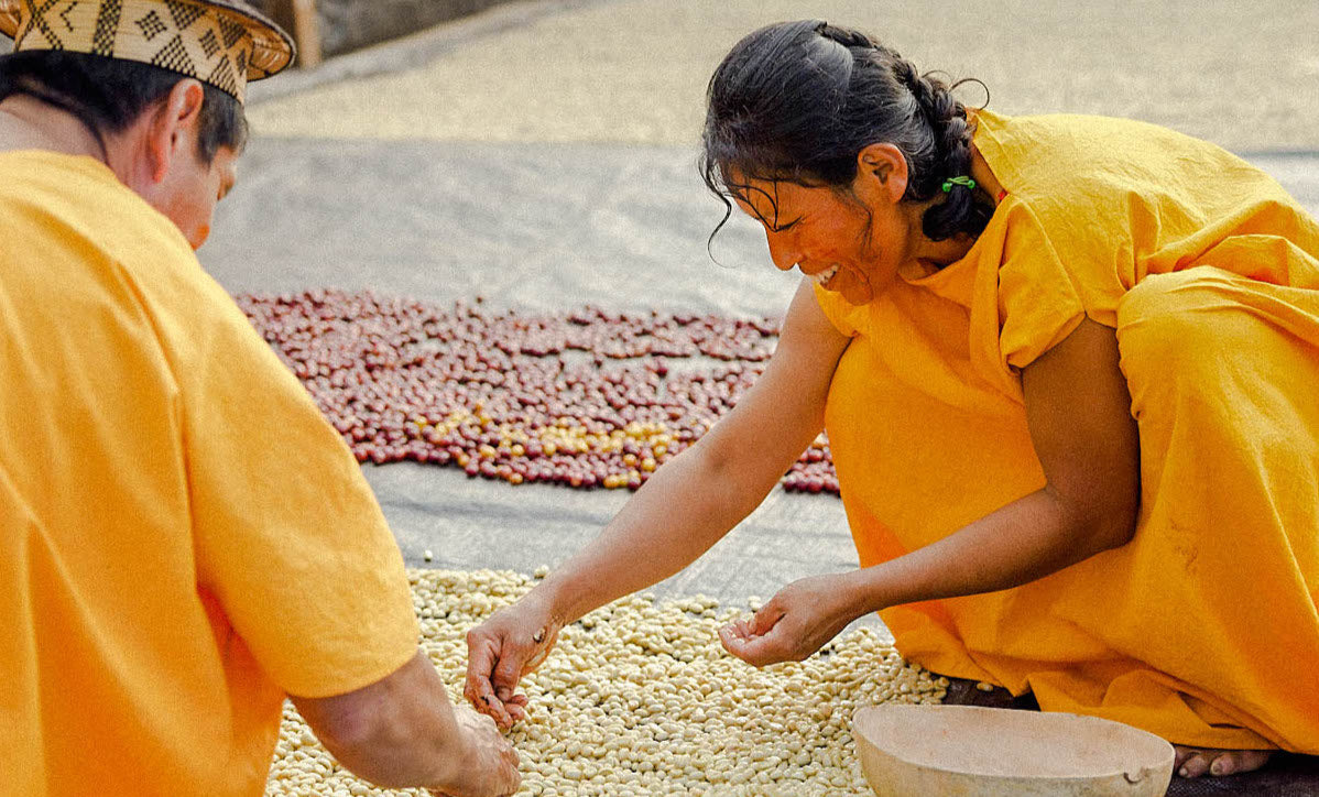 Cool Earth x Easy Jose Indigenous Community Coffee