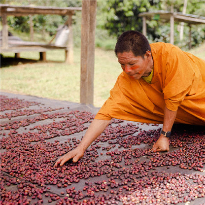 Yaguara, Mayni Darker Roast